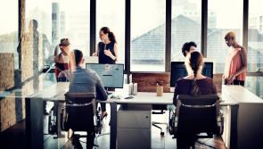National: Employment rates in Ireland hit highest level since records began