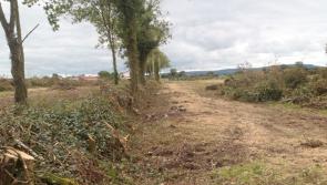 Gardaí called to deal with hedge cutting during the close season