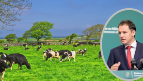 IFA members to picket at meeting arranged  by Charlie McConalogue