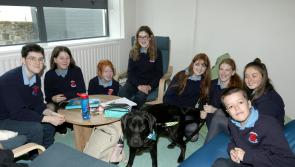 Glenties school leads the way in inclusiveness - with a helping paw from Oreo