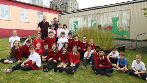 In pictures: Scoil Chaitriona Ballyshannon students grow flax