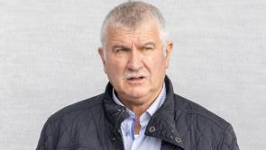 Ballybofey man faces 49 animal cruelty, welfare charges