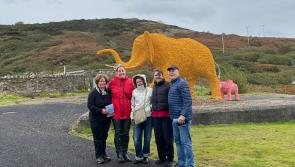 Inishowen wows British travel journalists