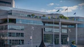 ‘Knee-deep in rat faeces, dentures, people from Donegal’- Dubliner not amused