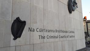 National: Woman admits 'laundering' more than &euro;100,000 in crime cash at her home