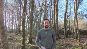 Dubhán Ó Longáin to give talk at historical society meeting