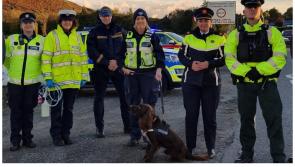 National: Assassination attempts to dutiful detection dogs - Garda report marks 100 years of keeping people safe