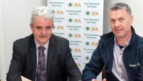 Falcarragh farmer Adrian Gallagher is new Chair of IFA Sheep Committee