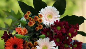 Death notices for Donegal on Thursday morning, November 16