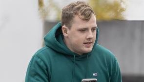 Driving ban for man who rammed patrol car and injured Garda sergeant