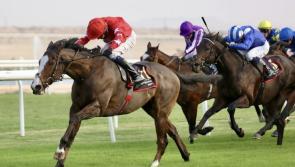 Oisin Orr wins Bahrain Trophy on Spirit Dancer for Alex Ferguson