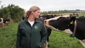 Ireland’s ‘national treasure’ supporting 54,000 jobs nationwide