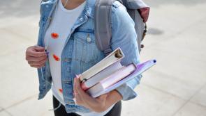 National: Thousands of Irish students owed €1,000 from Government just before Christmas