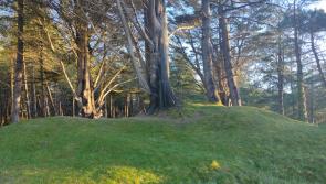 Everyone interested in Murvagh Beach and forest urged to attend public meeting