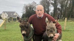 Christmas spirit is alive and well with charity display set for the switch-on
