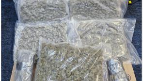 National: Man arrested after gardaí conduct cannabis bust valued at €120k