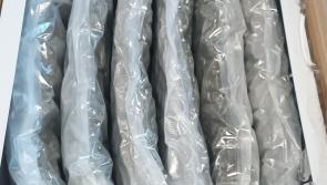National: Over €650k of cannabis seized by gardaí, woman arrested