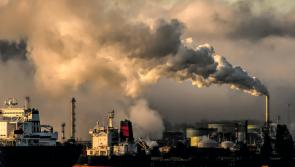 National: COP28 - Everything you need to know about the 'historical' agreement