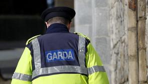 Gardaí appeal after woman is struck by car and driver fled the scene
