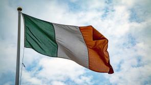 Over 100 people from Donegal granted Irish citizenship at Convention Centre in Dublin