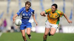 'Playing is a bug, it's something I wish I could do forever' - Diane McGlynn