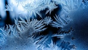 National: Is a snowy January on the way? Met Éireann forecasts freezing temperatures 
