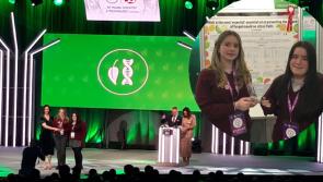 Best in Class:  Donegal students win big at BT Young Scientist competition