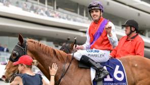 Martin Harley wins drama-filled $3m Magic Millions Guineas on Australia's Gold Coast