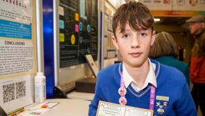 In Pictures: All the Donegal prizewinners from BT Young Scientist finals 