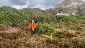 Dunlewey pilot scheme could benefit communities across the county 

