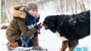 National: EXPLAINER: How to protect your dog on cold winter walks 