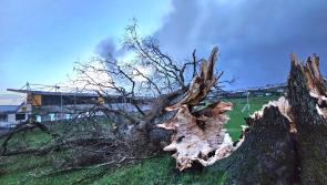 Storm Jocelyn on course to batter the country from Tuesday