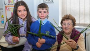 In pictures: St Eunan's National School, Laghey, make St Brigid's crosses 