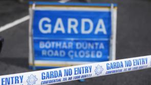 Elderly pedestrian dies after being struck by jeep in Dublin