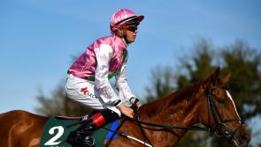 Dylan Browne McMonagle has to settle for seventh on Oz return 