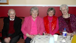 In pictures: The Leghowney Hooley does its bit for No Limits Play Group