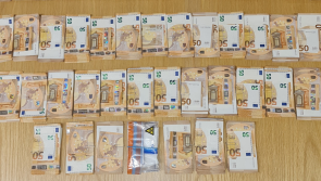 National: Gardaí discover 'substantial' sum of cash and 180 rounds of ammunition in Cork searches