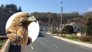 Golden Eagle sculpture to be unveiled in Doochary 