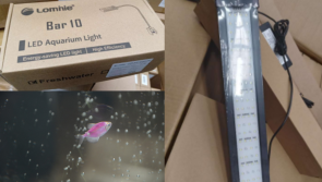 National: Risk of electrocution prompts 'immediate' recall of two popular fish aquarium products