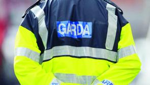National: Garda investigation launched  following discovery of body