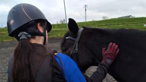 Stars in the Saddle - a new Special Olympics Club to host open days in Donegal
