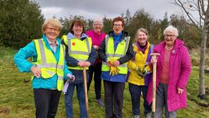 Good Friday clean-up for Carndonagh