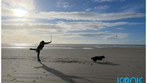 National: Spending quality time with your dog can cut your stress and anxiety 