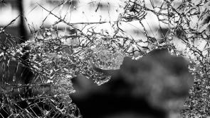 Smashing spree at Lifford property
