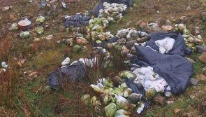 ‘Beautiful’ west Donegal blighted by illegal dump of dirty nappies