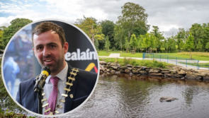 Eight-year-old 'traumatised' by Swan Park incident