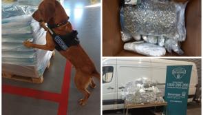 National: Major cannabis haul found hidden in consignment of bottled water and garden supplies