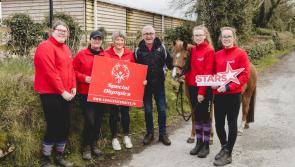 Stars in the Saddle host open days at Glenleary Riding School and Malin Stables