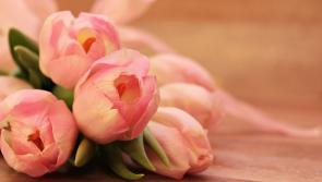 Death notices for Donegal on Thursday morning,  April 11