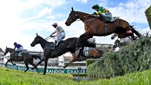 Letterkenny Live Grand National Sweepstakes 1 - the runners and riders